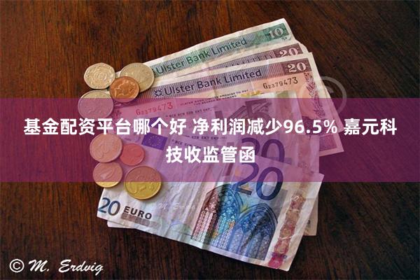 基金配资平台哪个好 净利润减少96.5% 嘉元科技收监管函