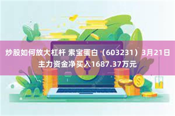 炒股如何放大杠杆 索宝蛋白（603231）3月21日主力资金净买入1687.37万元