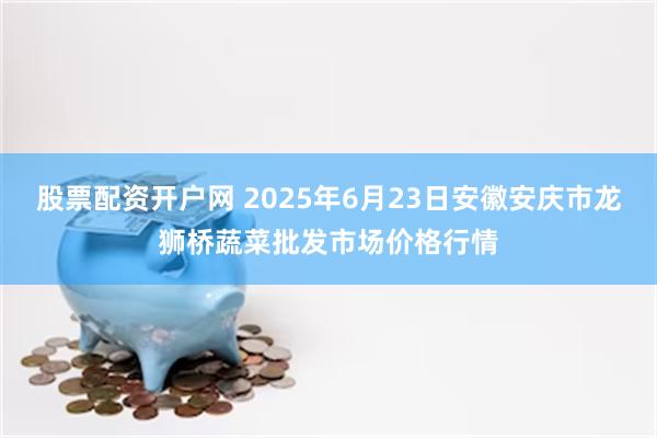 股票配资开户网 2025年6月23日安徽安庆市龙狮桥蔬菜批发市场价格行情