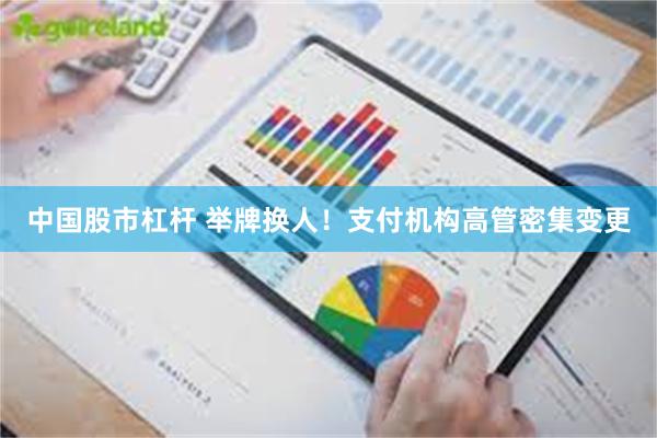 中国股市杠杆 举牌换人！支付机构高管密集变更